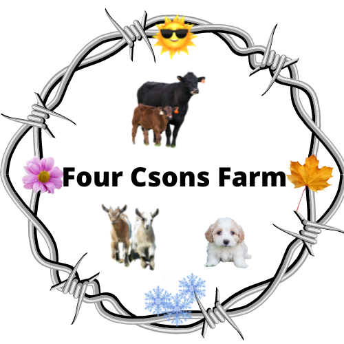 FourCsons Farm (4)